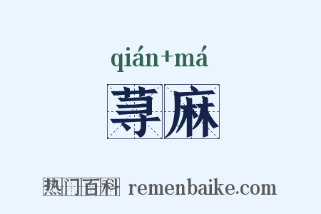 荨麻是什么意思的图片